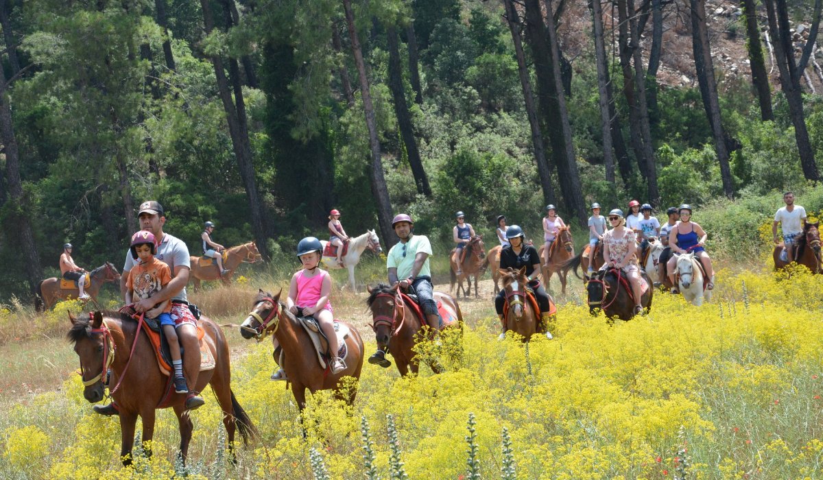 TUR-0086